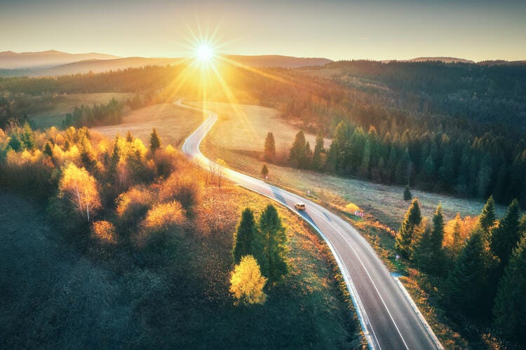 a road with trees and grass on the side