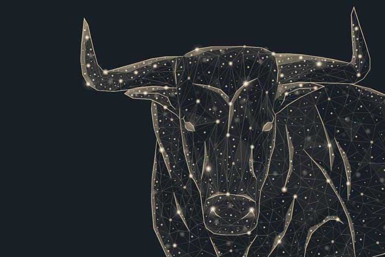 a close-up of a fish