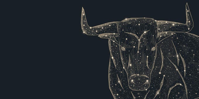 a close-up of a fish